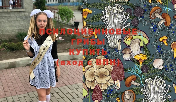 винт Алексеевка